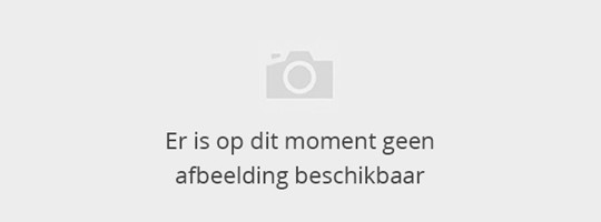 kick-off sessie ‘Grip op Cyber’